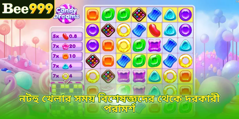 নটহু খেলার সময় বিশেষজ্ঞদের থেকে দরকারী পরামর্শ